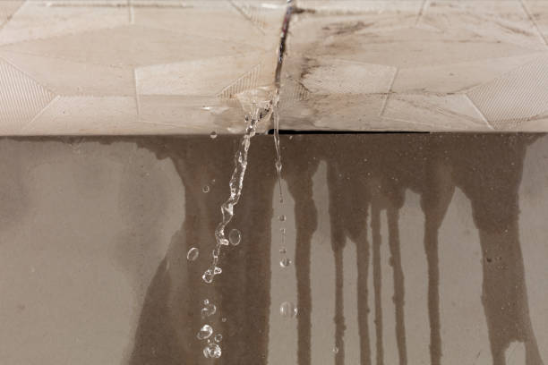 Professional Water Damage Repair technician working in Dellroy, OH